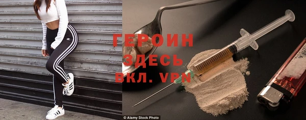 гашик Алексин