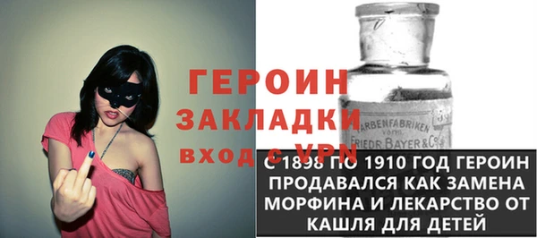 гашик Алексин