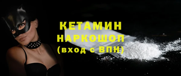 гашик Алексин