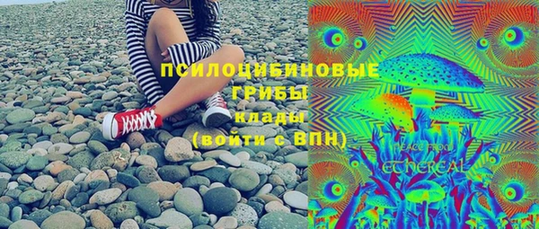 гашик Алексин