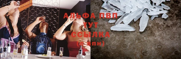 гашик Алексин