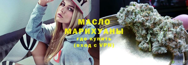 гашик Алексин