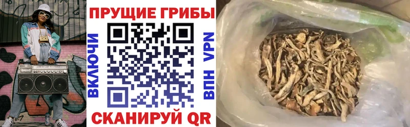 Псилоцибиновые грибы прущие грибы  сколько стоит  MEGA вход  Аркадак 