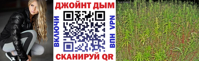 дарнет шоп  Аркадак  Канабис планчик 